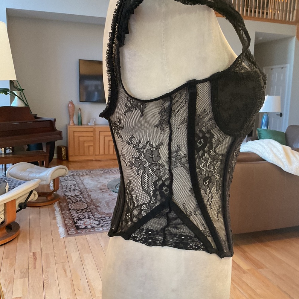 Lioness Black Sheer Lace Bustier Tank - Picture 7 of 13
